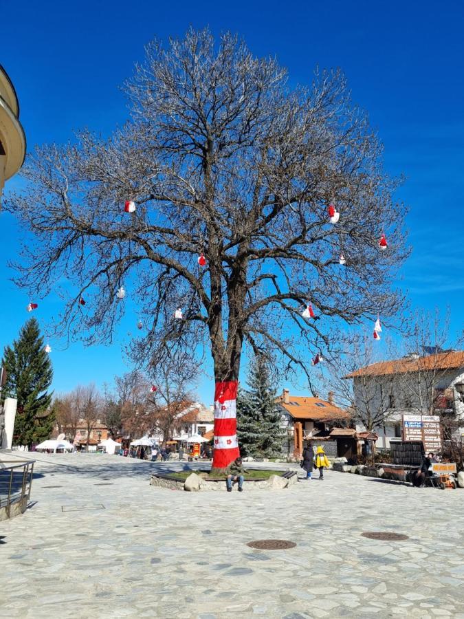 G-Apartment, New Inn, 2-Rooms Bansko Zewnętrze zdjęcie