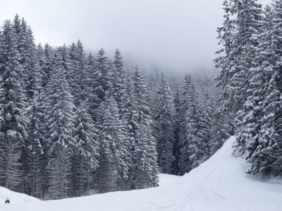 G-Apartment, New Inn, 2-Rooms Bansko Zewnętrze zdjęcie