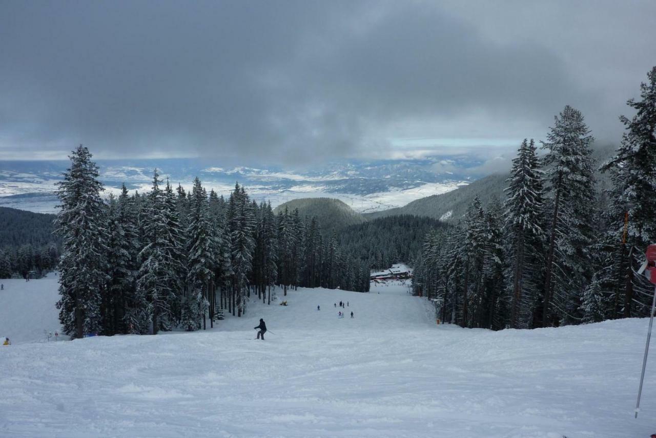 G-Apartment, New Inn, 2-Rooms Bansko Zewnętrze zdjęcie